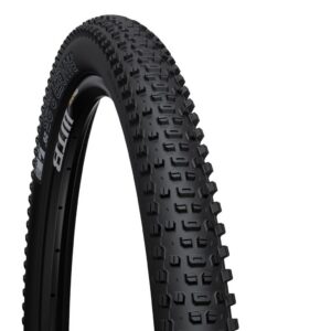 Plášť WTB RANGER 2.25 29'' TCS Light Fast Rolling SG2 černá