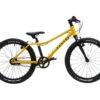 Rascal Bikes Dětské kolo Rascal 20 - 3sp Sturmey Archer Barevná kombinace: Oranžové - Obrázek 2