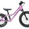 Rascal Bikes Dětské odrážedlo Rascal Punk 12"/14" Barevná kombinace: Titan - Obrázek 2