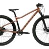 Rascal Bikes Horské dětské kolo Rascal Wild 29 Barevná kombinace: Emerald - Obrázek 2