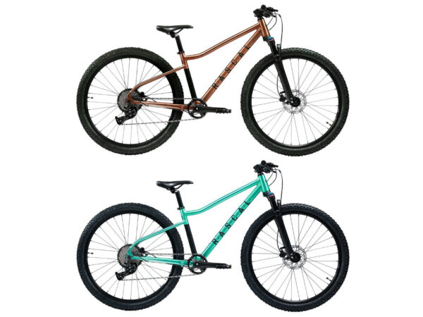 Rascal Bikes Horské dětské kolo Rascal Wild 29 Barevná kombinace: Bronze