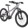 CANNONDALE kola a rámy Dětské kolo Cannondale Trail 20 - Lavender - Obrázek 2