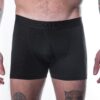 Pánské funkční trenky Sensor Merino Air - černá Velikost: M - Obrázek 2