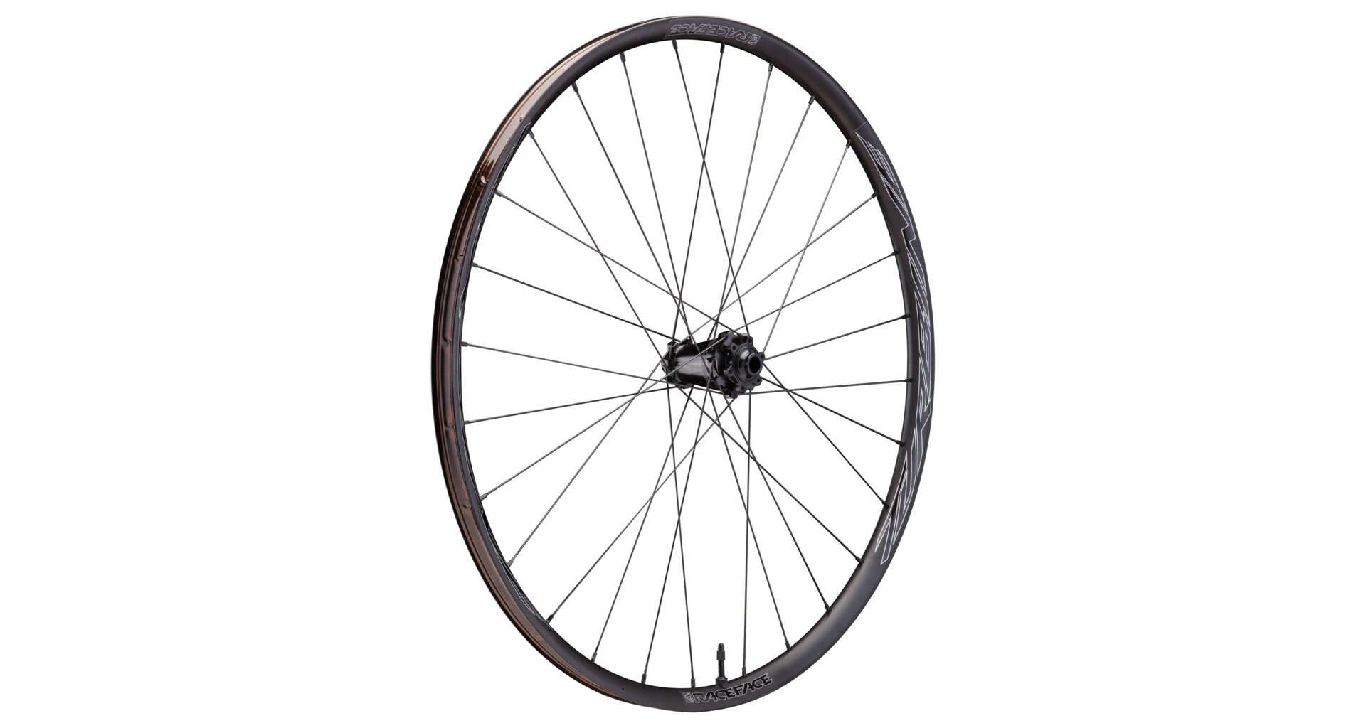 RACE FACE zapletená kola TURBINE-SL 29 přední 15x110 - Obrázek 2