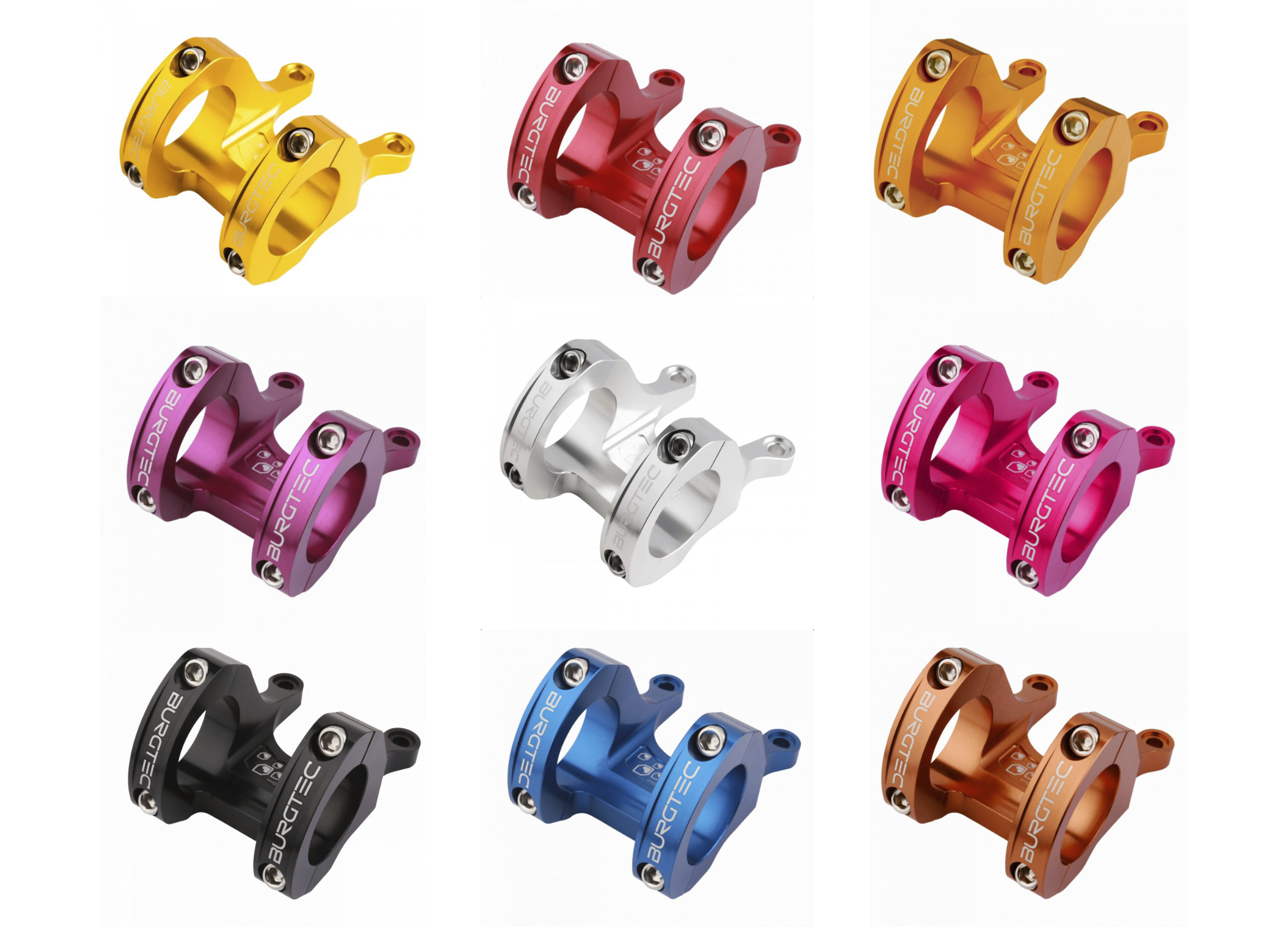 Délka představce: 50